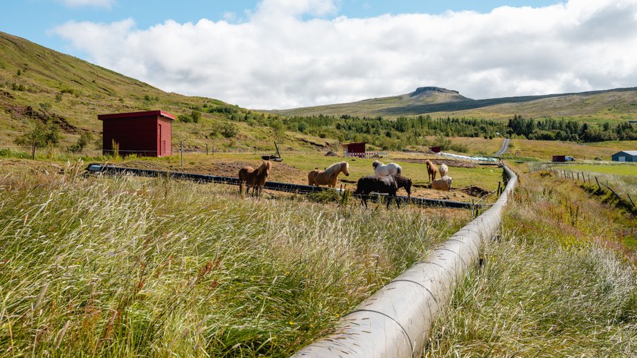 borhola_reykjadal